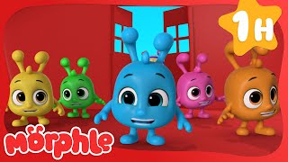 Orphle's Cloning 🌈 | Fun Animal Cartoons | @MorphleTV  | Learning for Kids by Magic Cartoon Animals! - Morphle TV 8,454 views 1 month ago 59 minutes