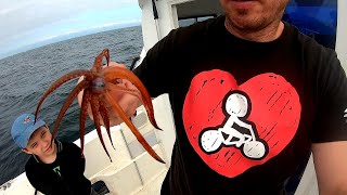 видео: Как поймать кальмара  днём?! Ловим и показываем.) картинка: Как поймать кальмара  днём?! Ловим и показываем.)