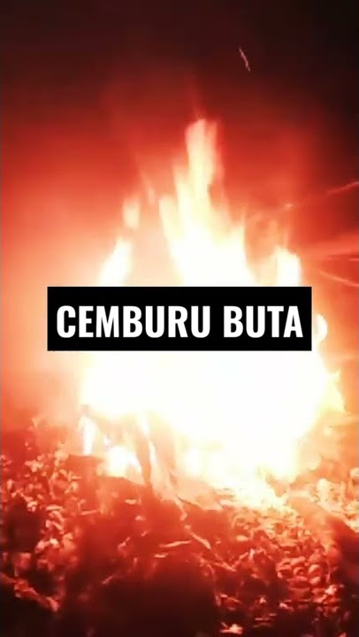 STORY WA TUKANG OJEK: PADI - TERBAKAR CEMBURU