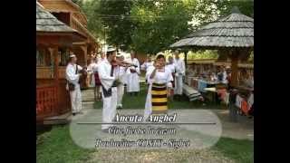 Ancuța Anghel - Cine fierbe la cazan - petrecere la moroseni chords