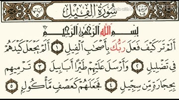 سورة الفيل كاملة و مكتوبة بصوت القارئ رعد محمد الكردي 🌹