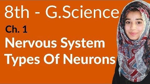 8th Class General Science - Ch 1 - Nervous System Types of Neurons - General Science 8th Class