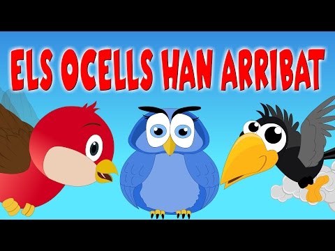 Vídeo: Quin Ocell Canta Amb La Cua