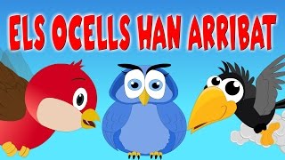 Video thumbnail of "ELS OCELLS HAN ARRIBAT | Cançons Infantils en Català"