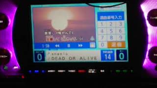 Download Lagu 【うたってみた】DEAD OR ALIVE/angela MP3