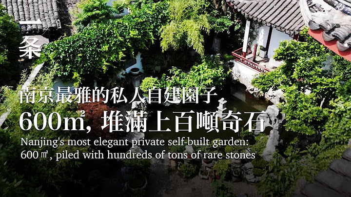 南京最雅的私人自建园子：600㎡，堆满上百吨奇石 Nanjing's most elegant private self-built garden - 天天要闻