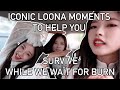 Iconic loona moments to help us survive while we wait for burn