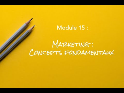 Module 15 : Marketing - Concepts fondamentaux