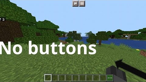 Minecraft Hide Controls/No buttons