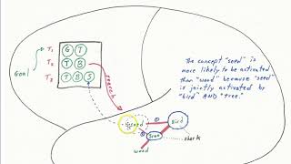 Working memory LTM part 2