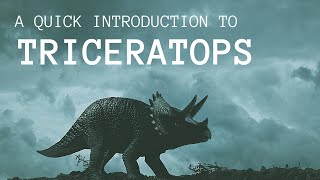 A Quick Introduction to Triceratops