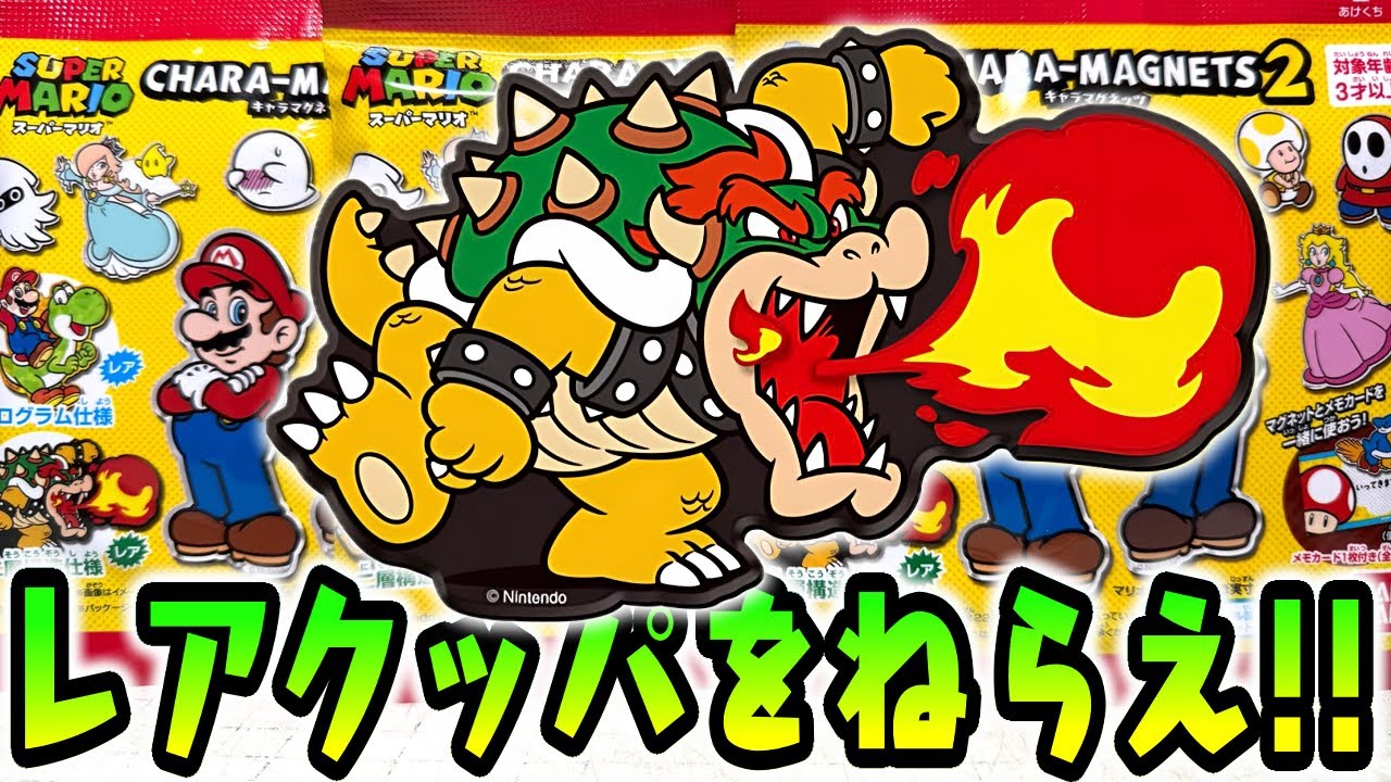 Aim for the Rare Kuppa! Super Mario Character Magnets All 22 Types