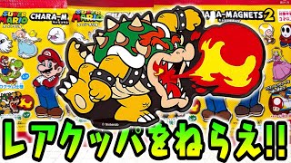 Aim for the Rare Kuppa! Super Mario Character Magnets All 22 Types