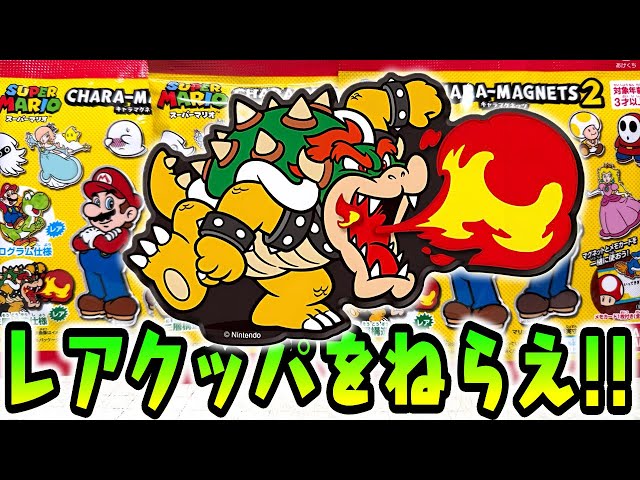 Aim for the Rare Kuppa! Super Mario Character Magnets All 22 Types