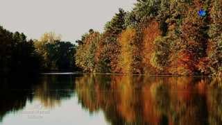    Giovanni Marradi  Solitude