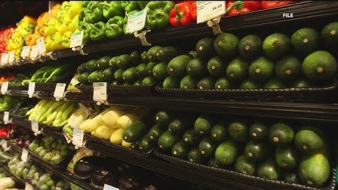 Cucumbers recalled over Salmonella outbreak