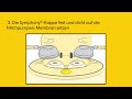 Medela Hands Free Doppelpumpset Für Symphony Komfort Trifft Effizienz Medela Hands Free Doppelpumpset Für Symphony Komfort Trifft Effizienz