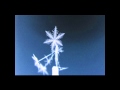 Snowflake science timelapse 1