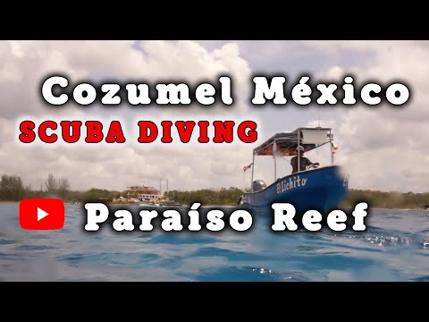 Cozumel Scuba Diving Video México - Paraíso Reef / Buceo Paraiso Arrecife