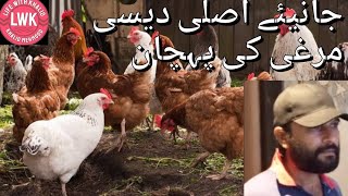 Desi Murgi Ki Pehchaanlife With Khalid Like Subscribe And Share