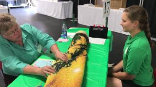 Cass County 4-H'er does Interview Judging--Morgan