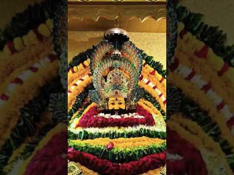 sbse bda judge baitha hai #viral #trending #shorts #khatushyam #ringuskemodpe #balaji #salasarbalaji