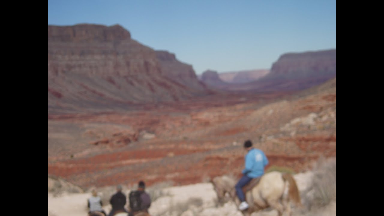 Horse Ride to Havasu Falls YouTube