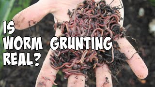 Famous Is Worm Grunting Real?? Profile