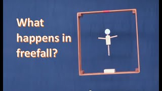 Freefall,  physics of  elevators and other falling objects demonstrating weightlessness