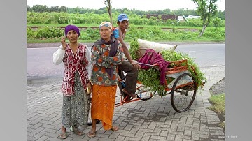 2007 03 Hong Kong   Java   Bali