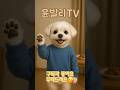 &quot;윤빌리의 내돈내산 솔직리뷰&quot;  #shortvideo #귀여운영상 #cute #짧은영상 #60계치킨 #쯔란치킨 #솔직리뷰 #맛평가 #쇼츠 #내돈내산 #구독과좋아요