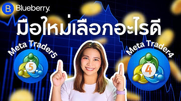MT4 vs MT5 สำหรับมือใหม่! ตัวไหนที่เหมาะกับคุณ (สนับสนุนโดย Blueberry)