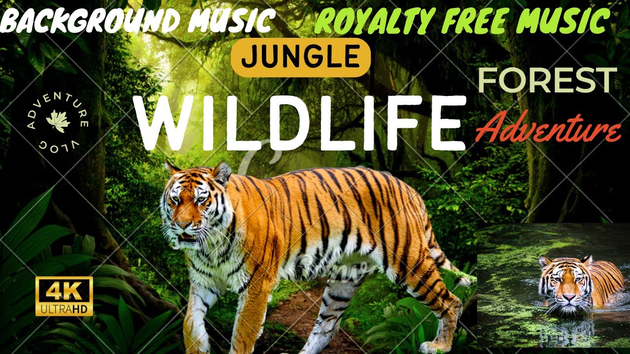 Royalty Free Music Animal Background Music No Copyright music (Copyright Free Music)