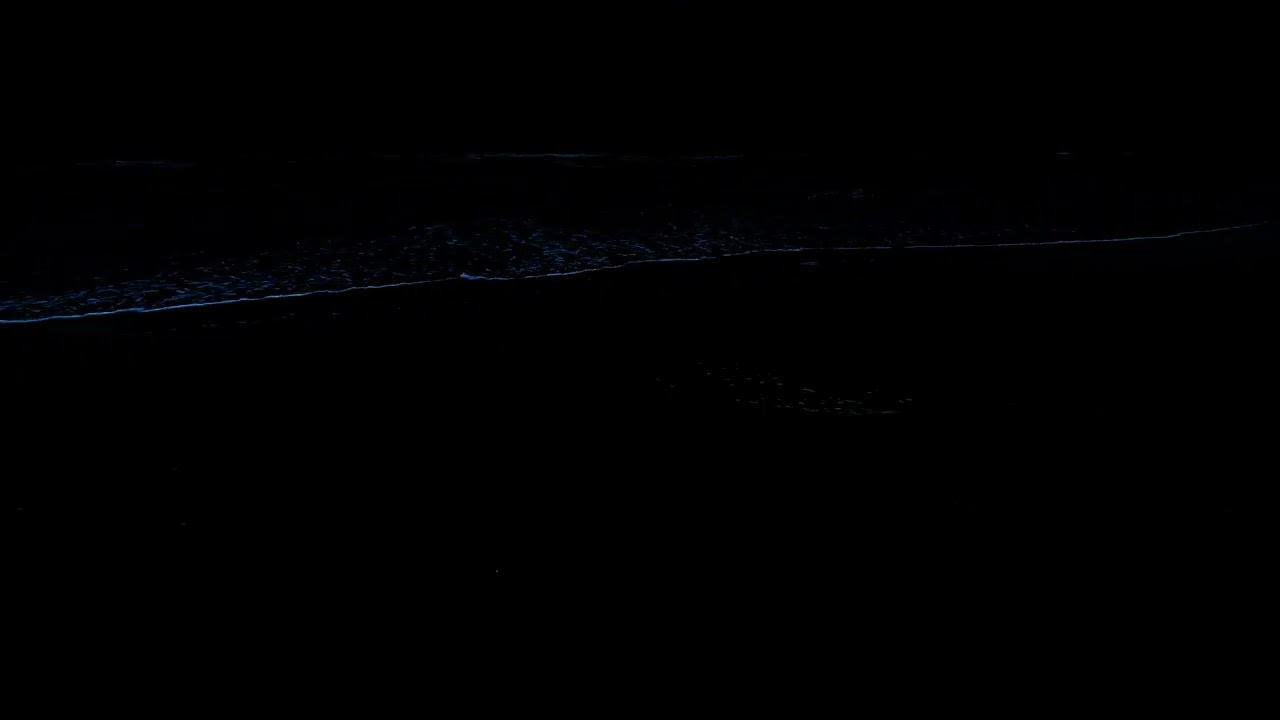 🌊 Ocean Waves for Deep Sleep All Night | Quiet Rolling Waves | Stress Relief | 24H No Ads