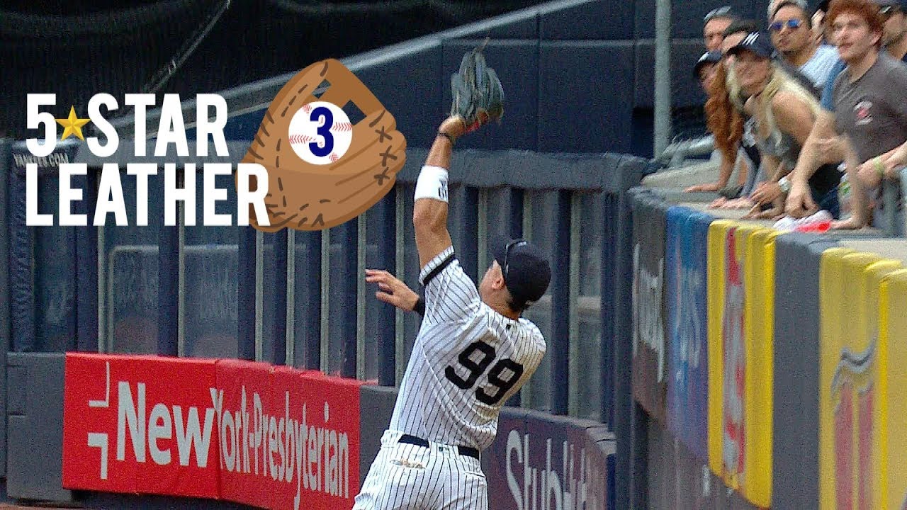 aaron judge dog jersey