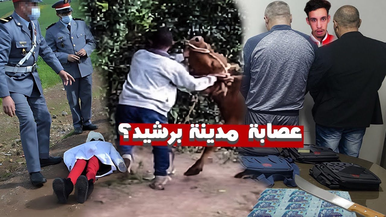 ها كيفاش طاحو الجوندارم على أخطر عصابة ديال الفراقشية في مدينة برشيد.. بالصدفة!؟