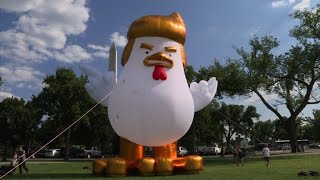 An inflatable chicken to parody Trump near the White House