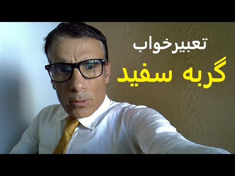 تعبیر خواب گربه سفید دیدن گربه سفید در خواب تعبیر گربه سفید در خواب تعبیرخواب گربه سفید