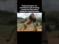 #fypシ゚viral #apex #human #ancestors #animals