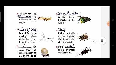 Class - 4, GK, Pg. No.17