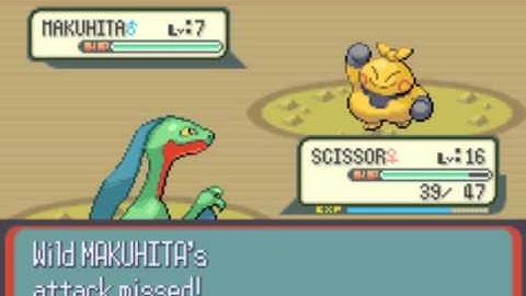 Pokemon Ruby Walkthrough Part 8