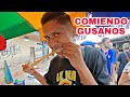 Visité el Mercado más raro de Loreto | Comiendo GUSANOS VIVOS