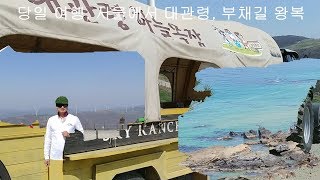 대관령과 강릉의 유명 관광지를 당일여행 다녀오기