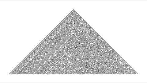 Rule 30 on a Large Grid | Cellular Automata | Physics Simulations