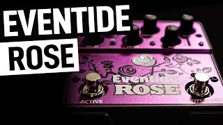 Il delay analogico che va oltre | Eventide Rose