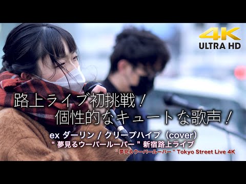 【 路上ライブ初挑戦！】個性的なキュートな歌声にハマります！ 　ex ダーリン / クリープハイプ（cover）" 夢見るウーパールーパー "  2022.2.6 新宿路上ライブ 4K映像