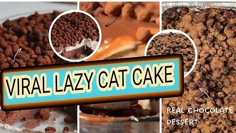 Lazy Cat Chocolate Cake | So Easy |Viral Cake| Ahmed Al Zamel Cake