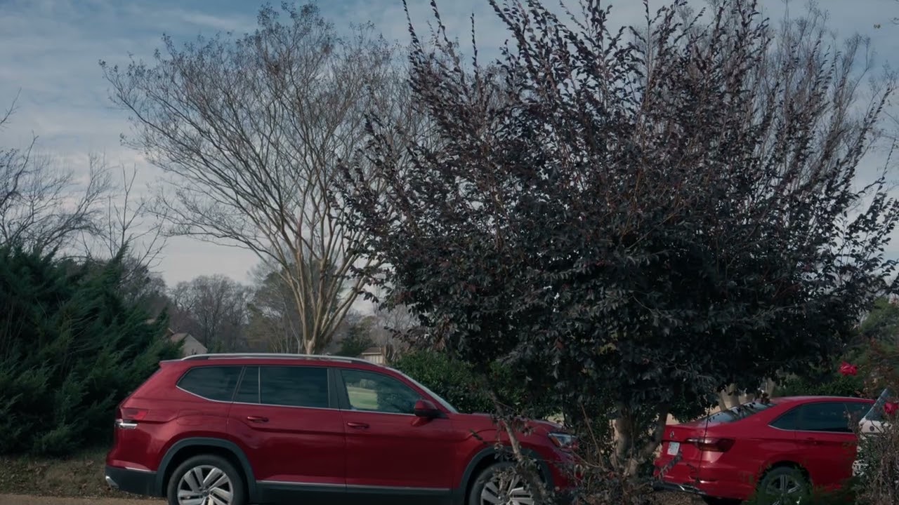 Nikon ZR Footage Red Film Bias