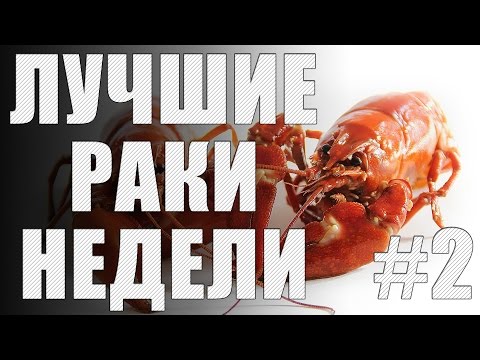 Видео: ЛРН выпуск №2 [Лучшие Раки Недели]