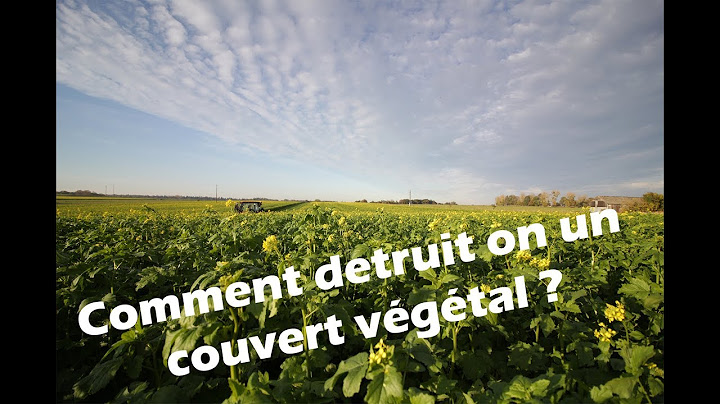 La destruction des couverts végétaux expliquée par Culturez-vous !